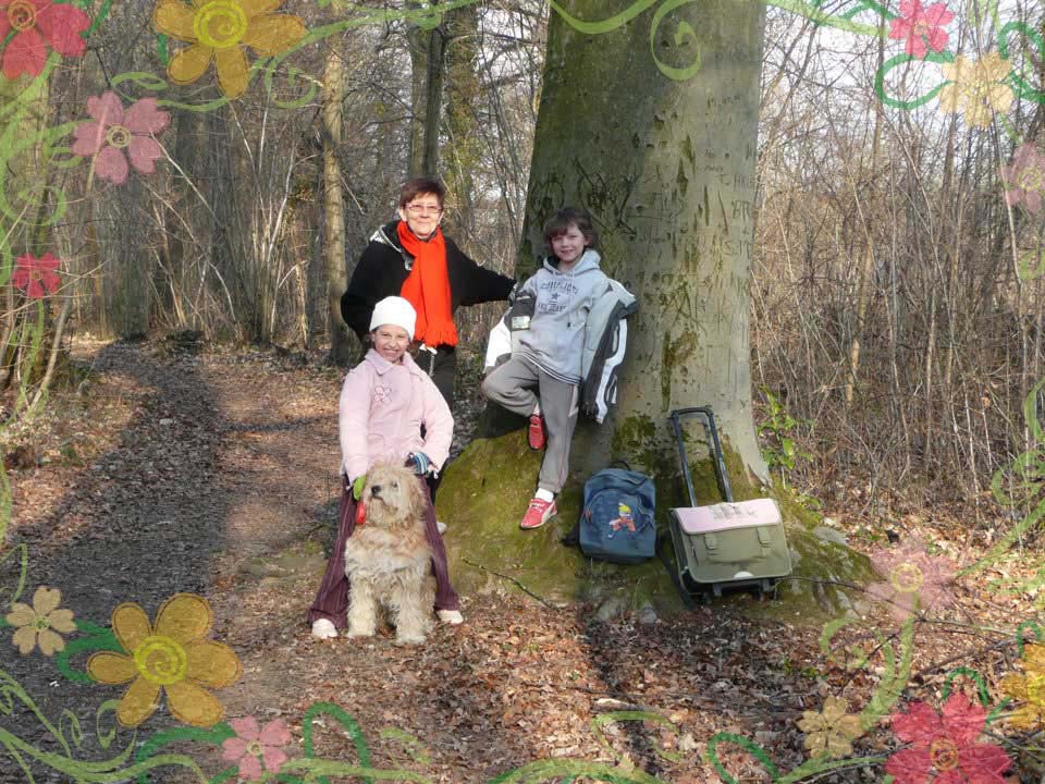 Aller à l'école Revenir de l'école