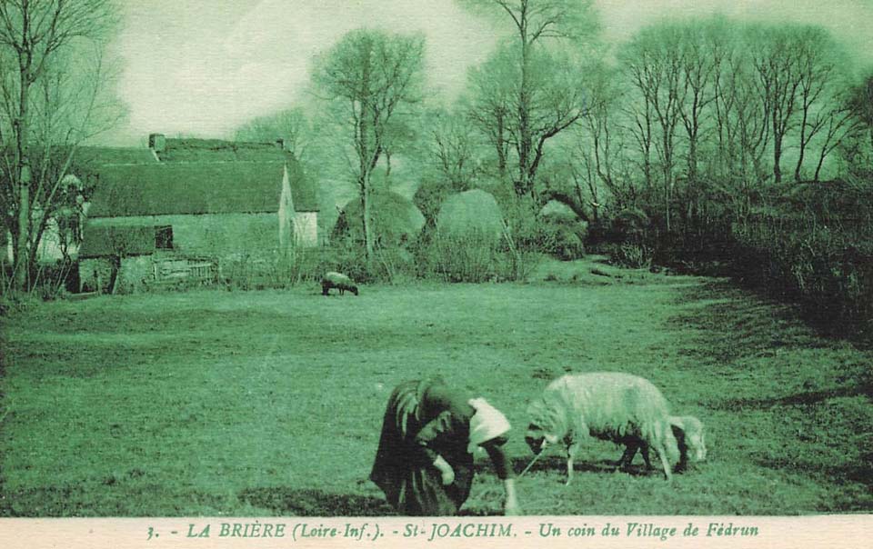 Fédrun Le Chef-de-l'Ile La Brière