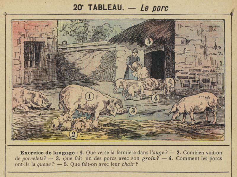 Tableaux pour l'école de Gustave Fraipont vers 1900