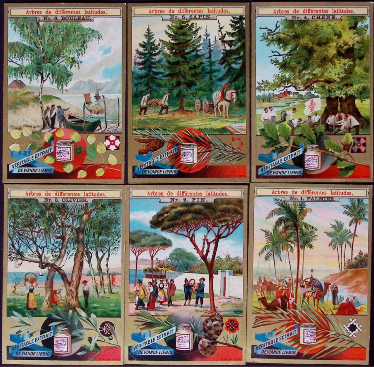 Liebig 11500 chromos en séries de 6 cartes