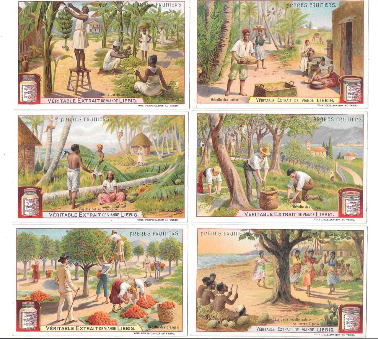 Liebig 11500 chromos en séries de 6 cartes