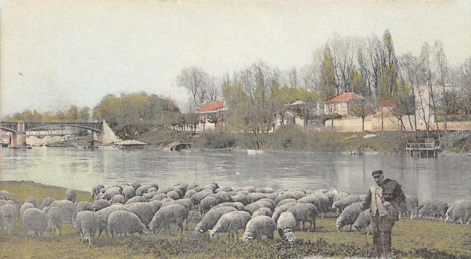 Gournay-sur-Marne Bords de la Marne