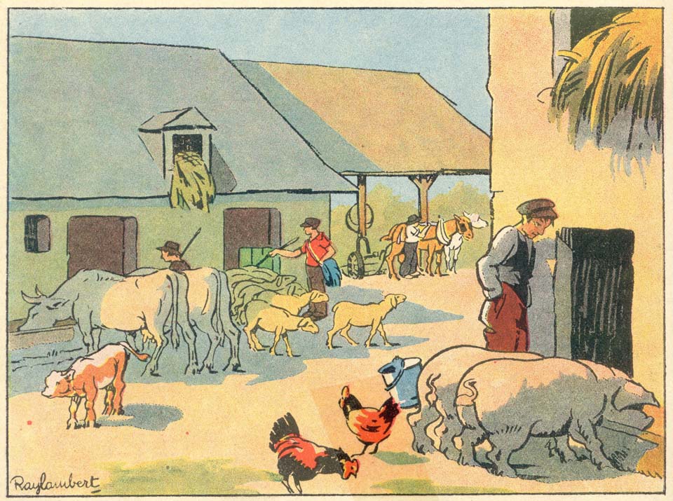 Le réveil de la ferme