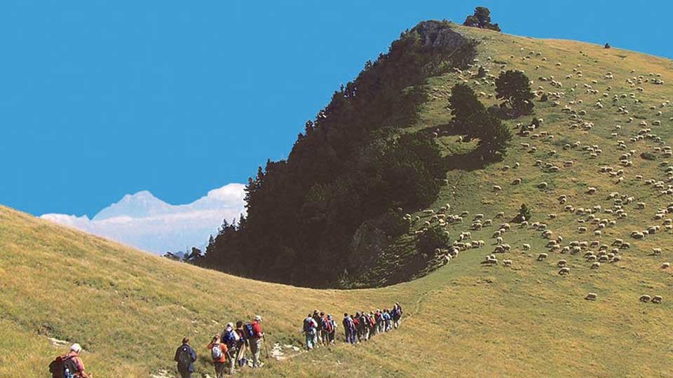 Sur les chemins de l'exil