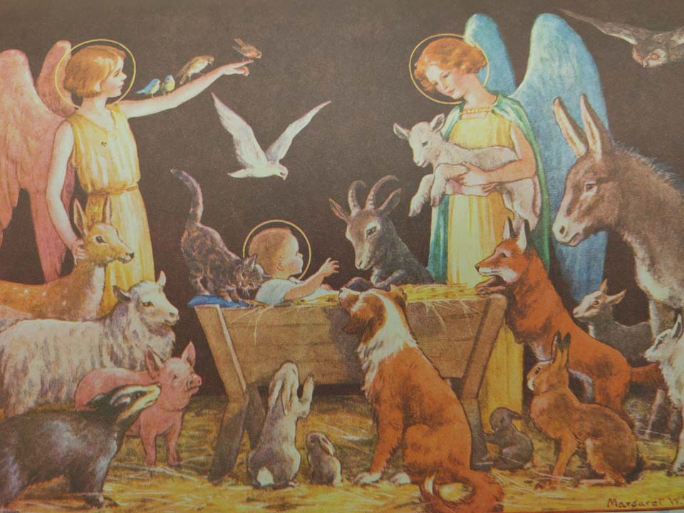 Margaret Tarrant Le monde des fées