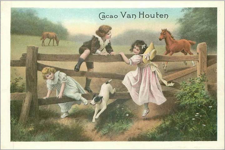 Van Houten le chocolat en poudre