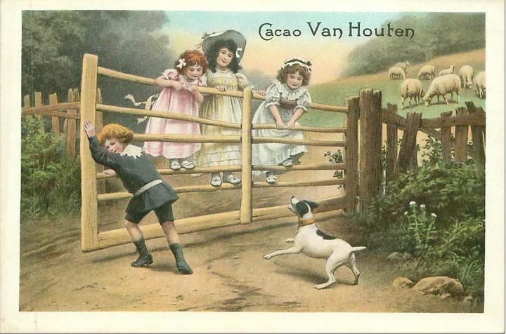 Van Houten le chocolat en poudre