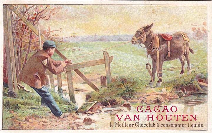 Van Houten le chocolat en poudre