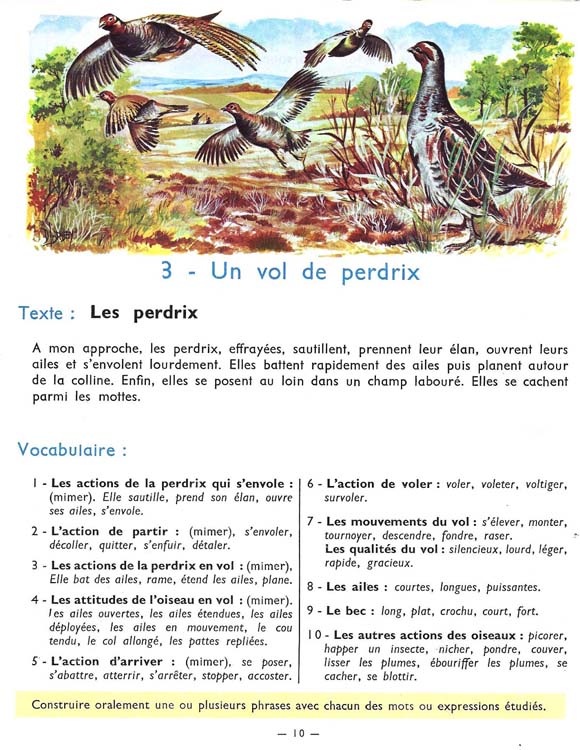 De l'image à la phrase