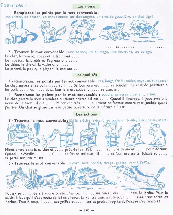 De l'image à la phrase