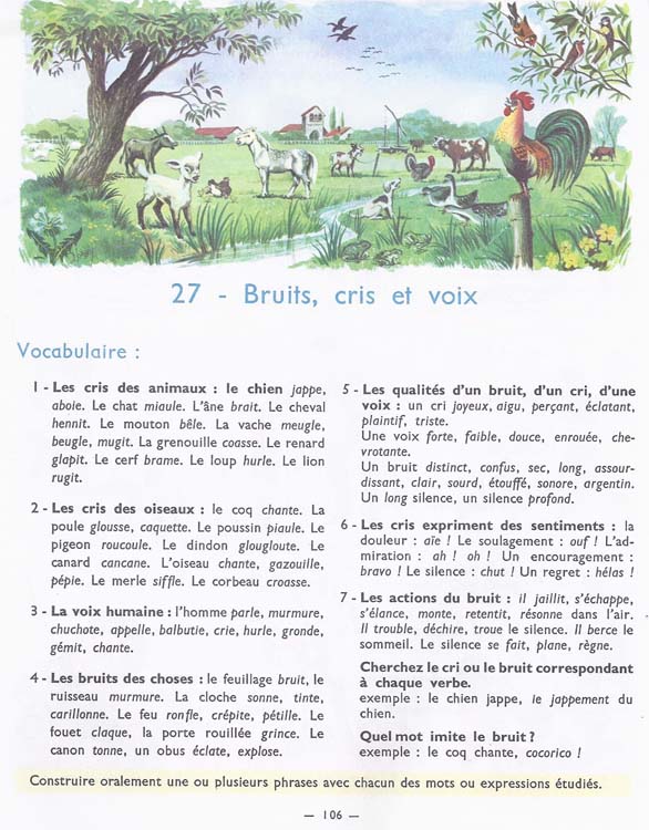 De l'image à la phrase