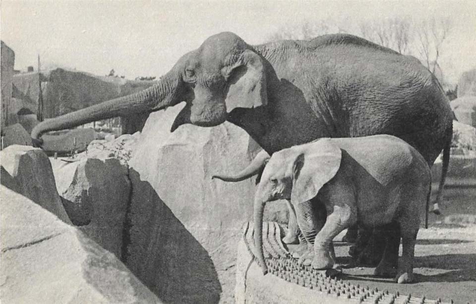 J'avais dix ans à Paris 12e