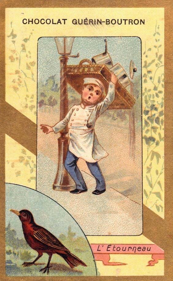 chocolat Guérin-Boutron