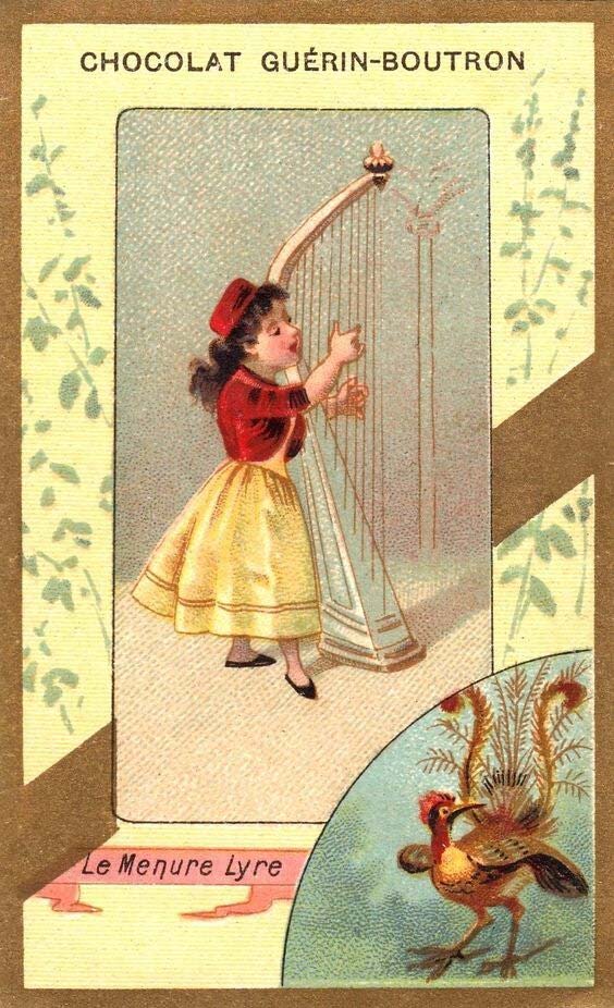 chocolat Guérin-Boutron