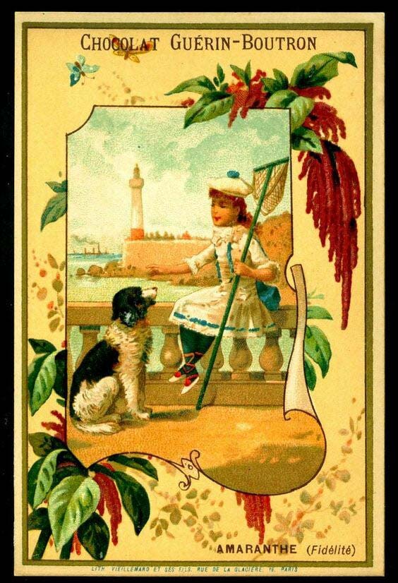 chocolat Guérin-Boutron
