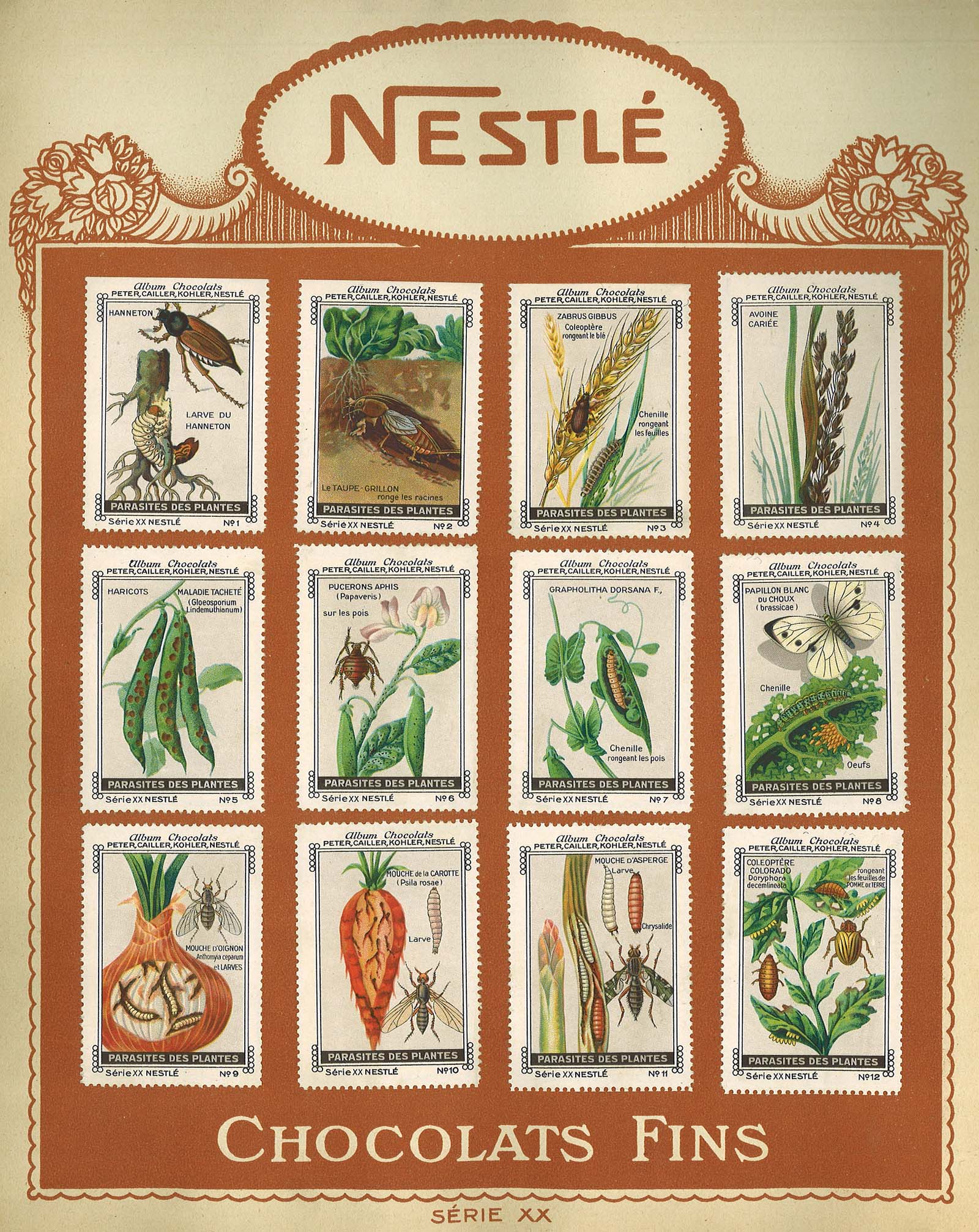 chocolat Nestlé