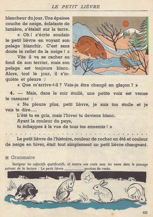 Au pays merveilleux CE1 (1965)