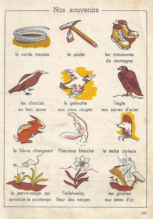 Au pays merveilleux CE1 (1965)