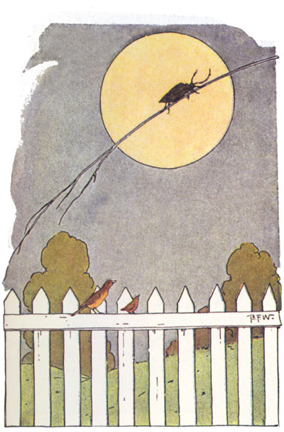 Le livre de Peter Patter