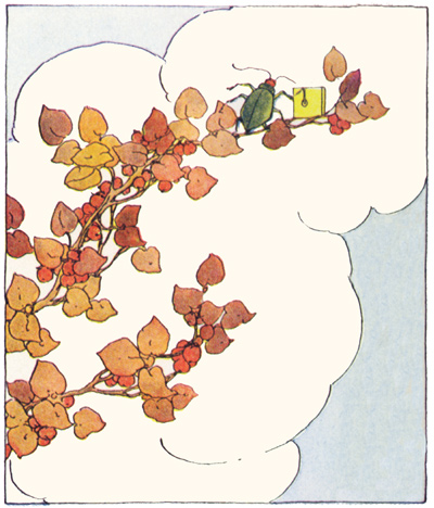 Le livre de Peter Patter