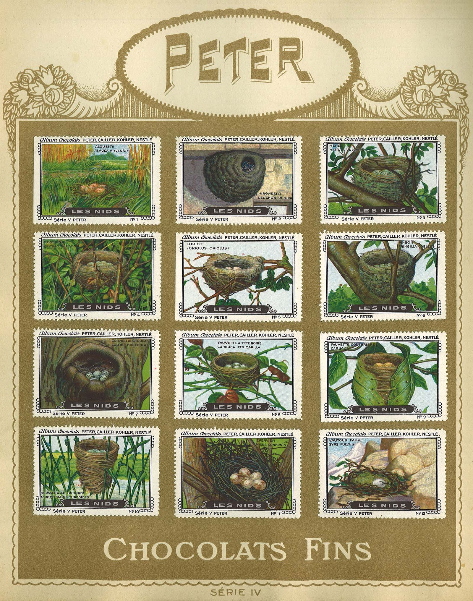 chocolat Peter