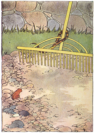 Le livre de Peter Patter