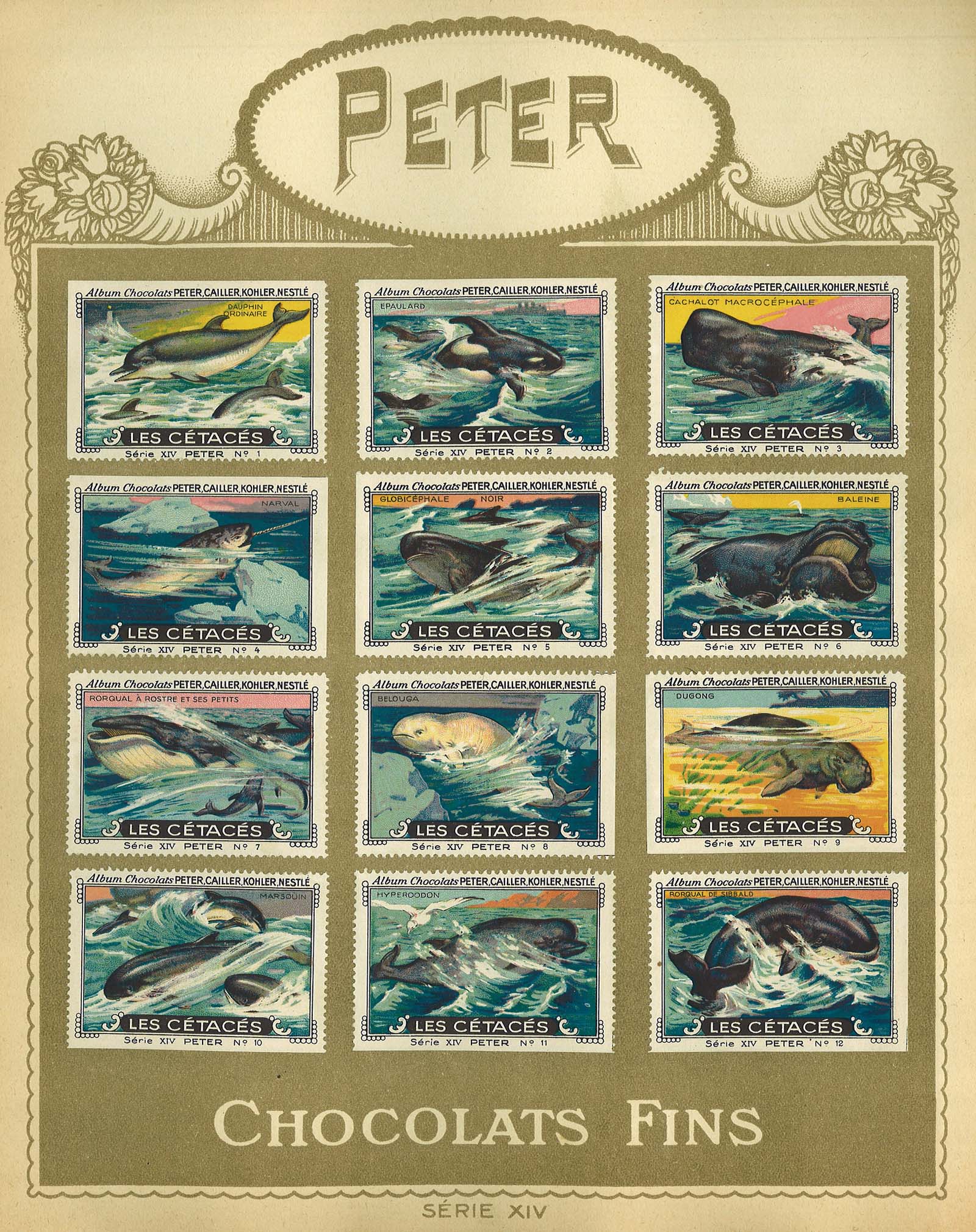 chocolat Peter