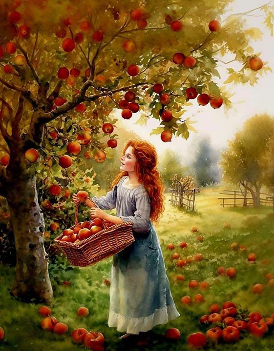 La cueillette des pommes