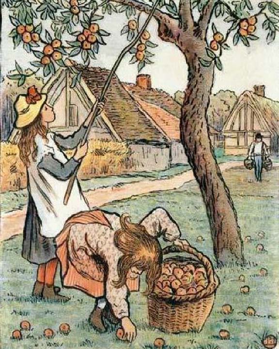 La cueillette des pommes