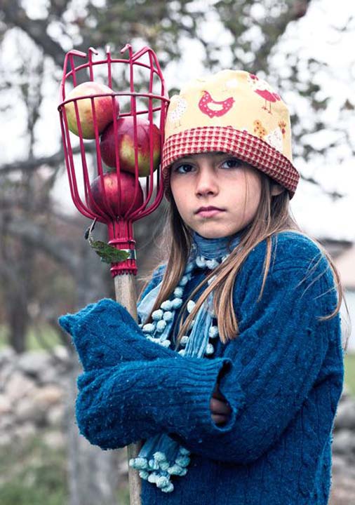 La cueillette des pommes