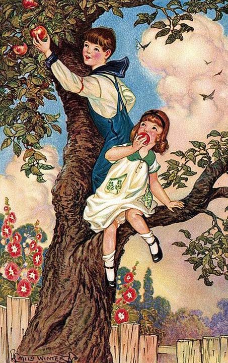 La cueillette des pommes