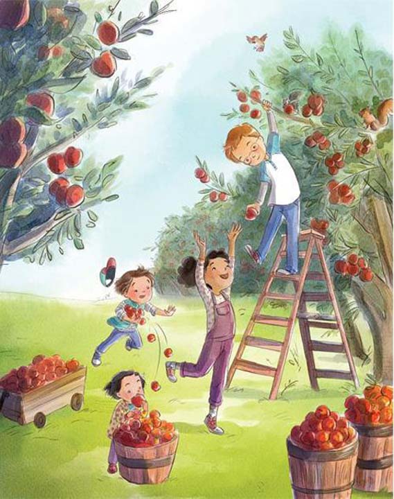 La cueillette des pommes