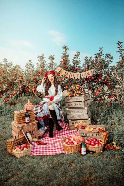 La cueillette des pommes