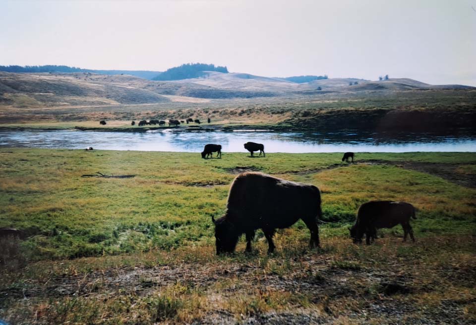 Le livre des records de Papytane