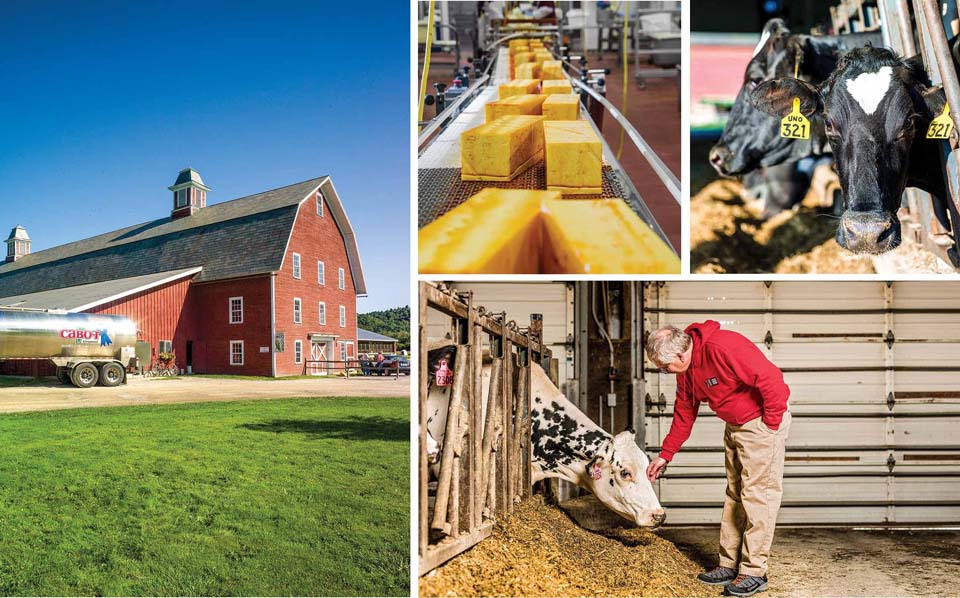 Le livre des records de Papytane