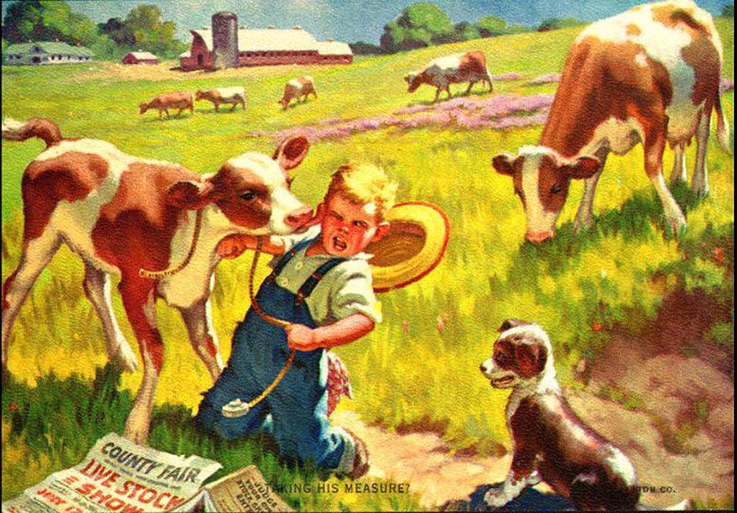 Il encaisse les coups de langue