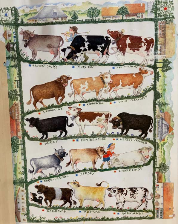 Affiches de Suisse