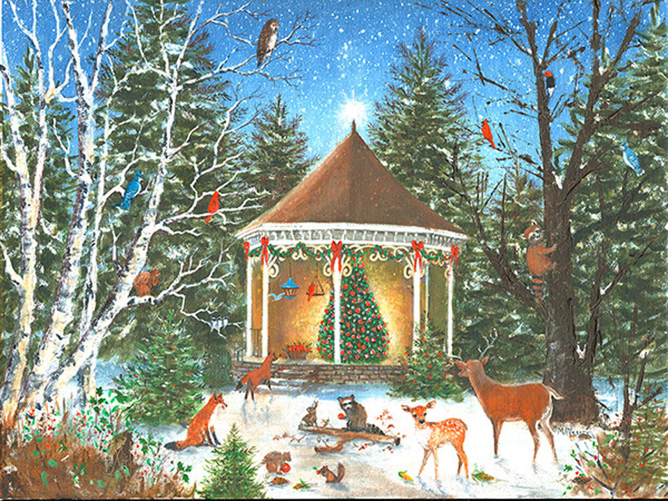 Surprise dans les bois