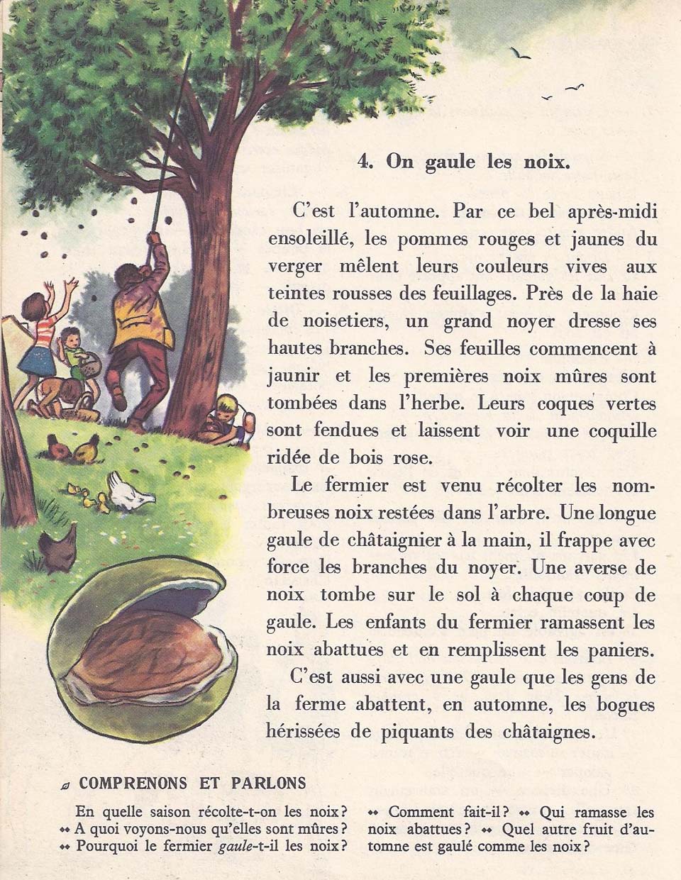Vocabulaire CE1