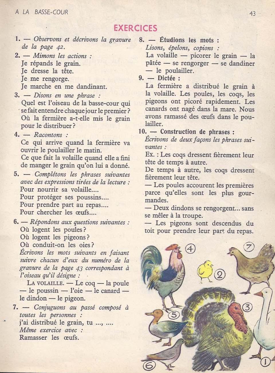 Vocabulaire CE1
