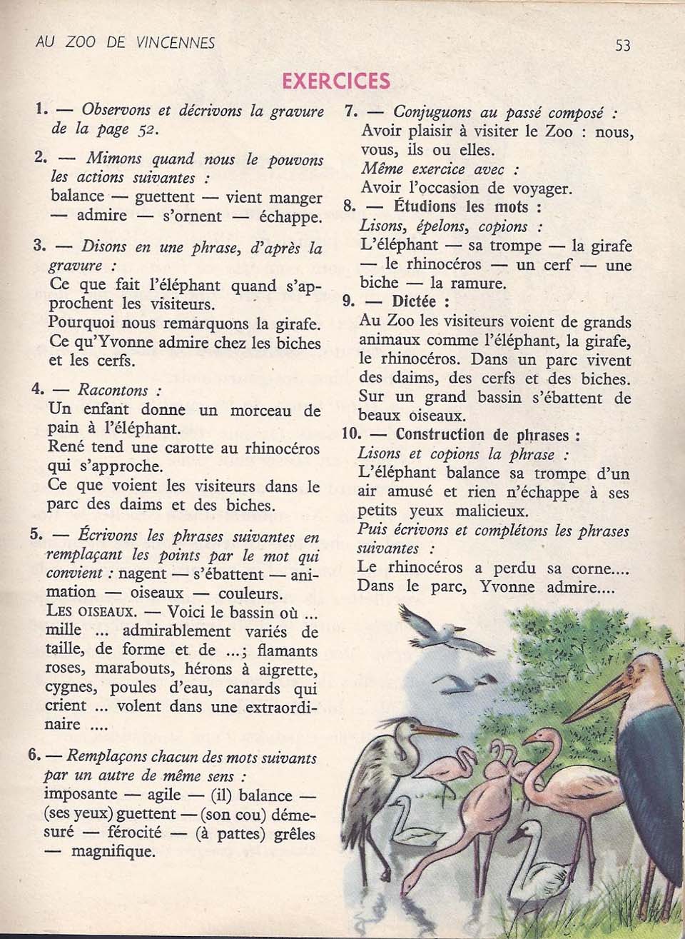 Vocabulaire CE1