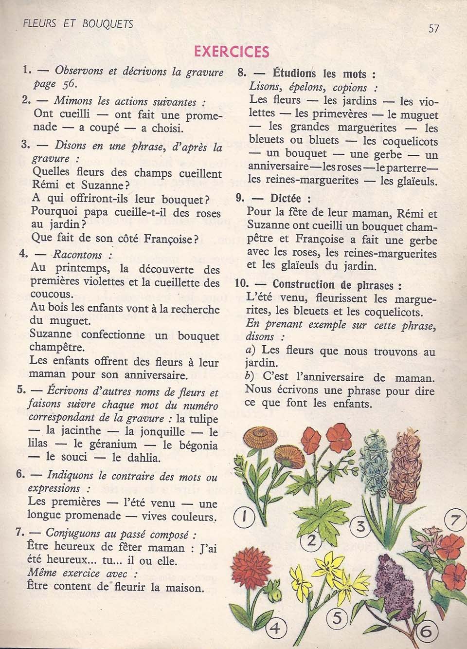 Vocabulaire CE1